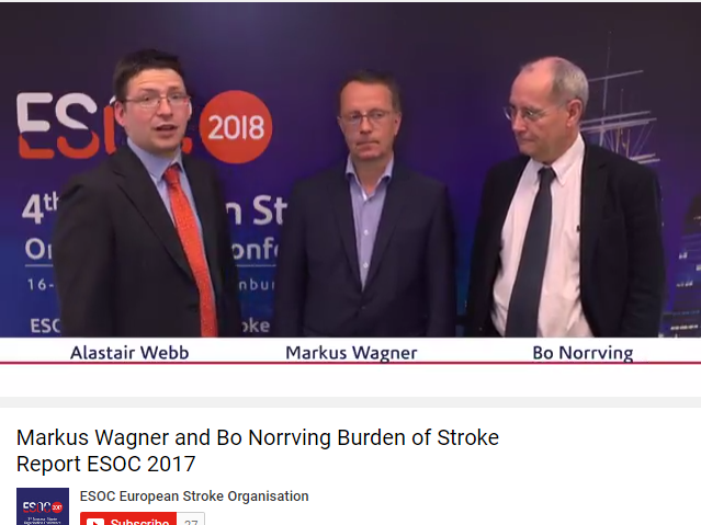 There is a need to improve stroke services in almost every part of Europe
