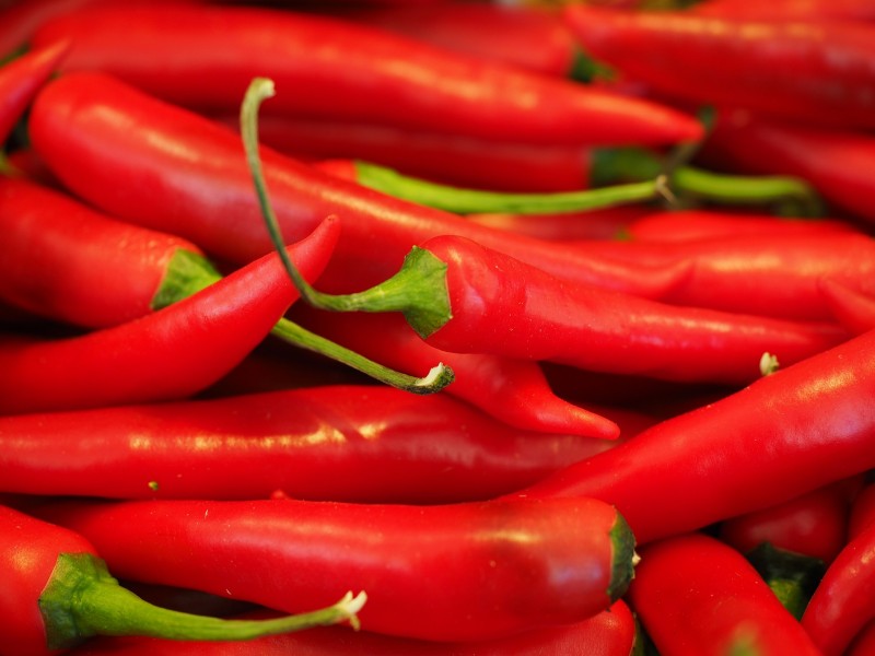 Man develops severe ‘thunderclap’ headaches after eating world’s hottest chili pepper