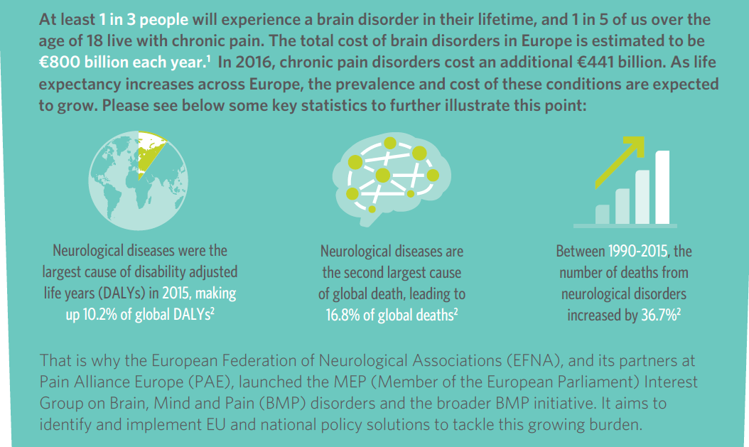 New Brain, Mind and Pain Book of Evidence released for the 2019-2024 EU mandate