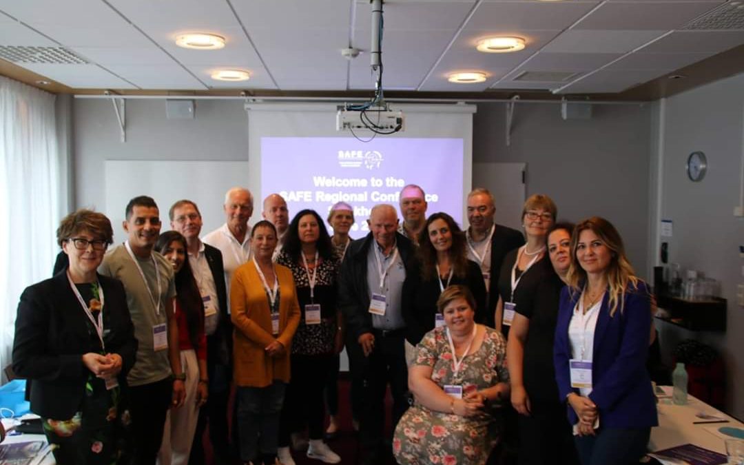 Third and final SAFE Regional Conference held in Stockholm on 26th June