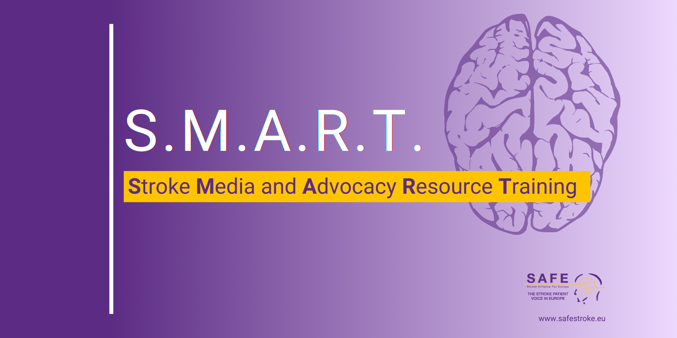 We launch our Stroke Media and Advocacy Resource Training videos online