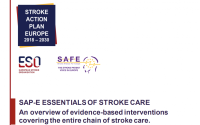 Stroke Action for Europe: Publication of the Essentials of Stroke Care