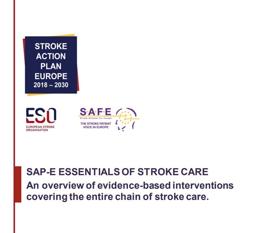 Stroke Action for Europe: Publication of the Essentials of Stroke Care