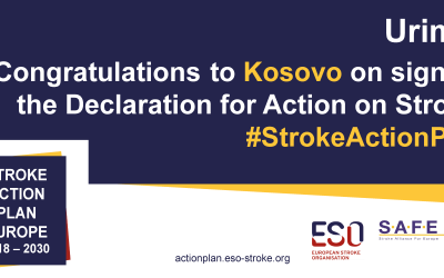 Kosovo – the latest country to sign the Stroke Action Plan for Europe Declaration