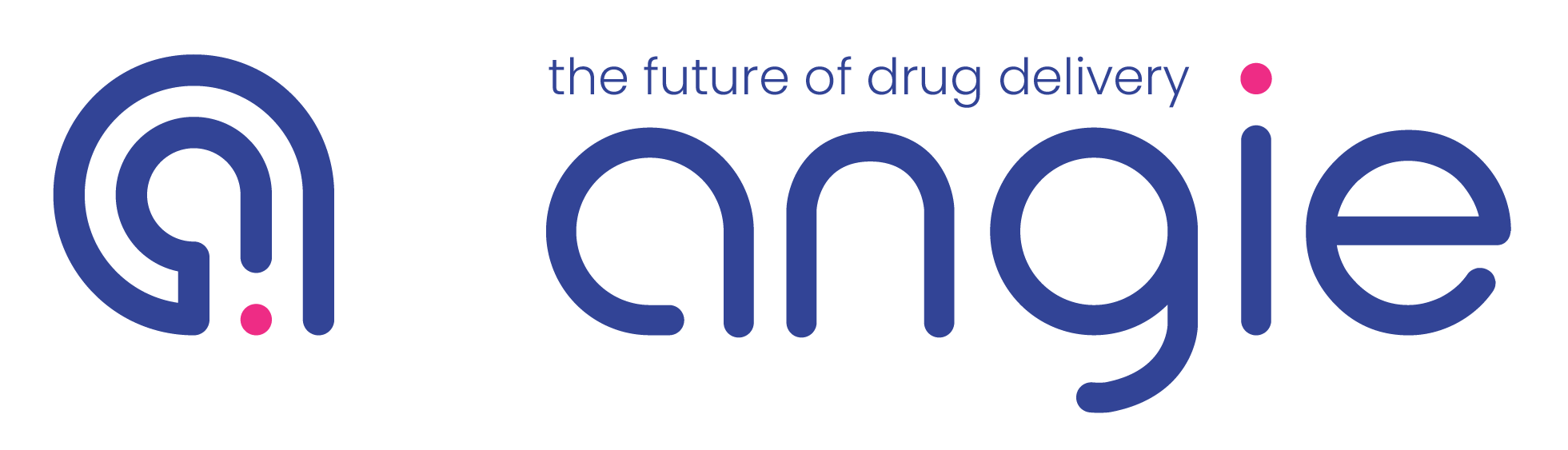 Emerging issues on targeted drug delivery – event 28 November 2022