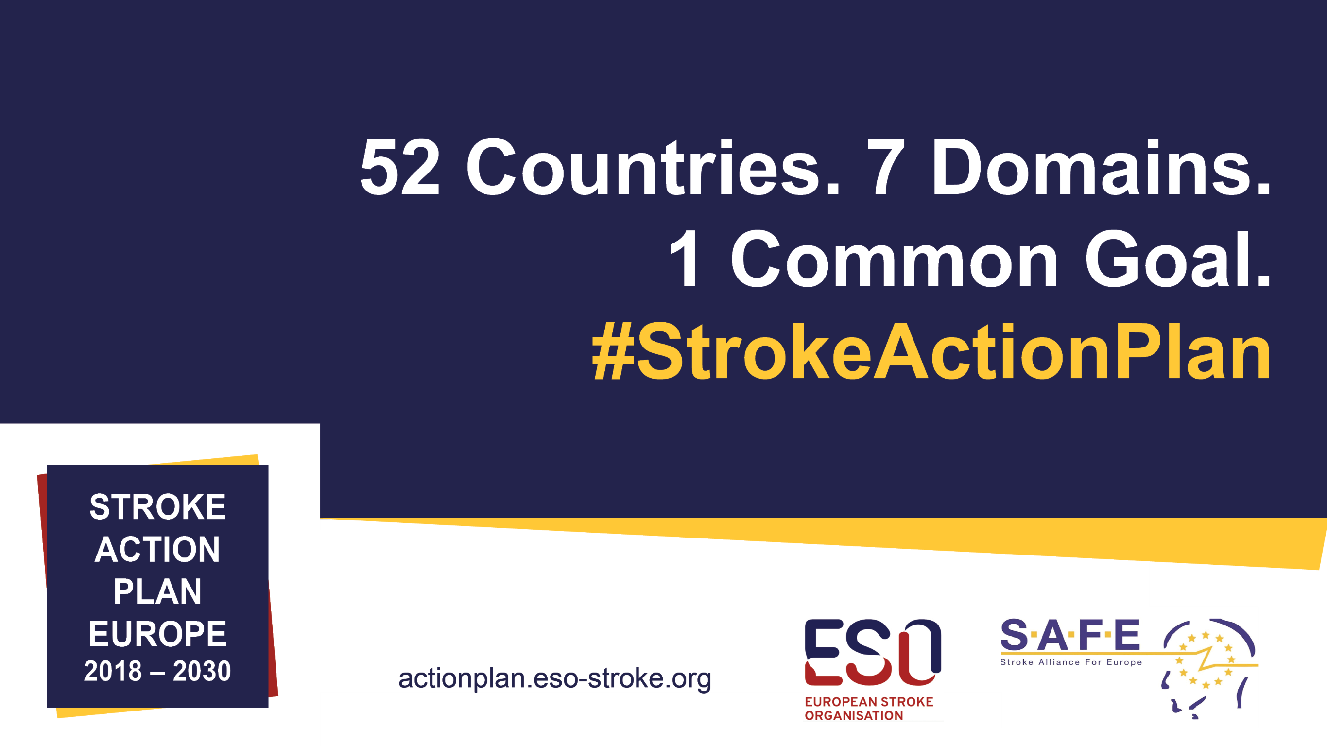 Stroke Action Plan for Europe Roadmap