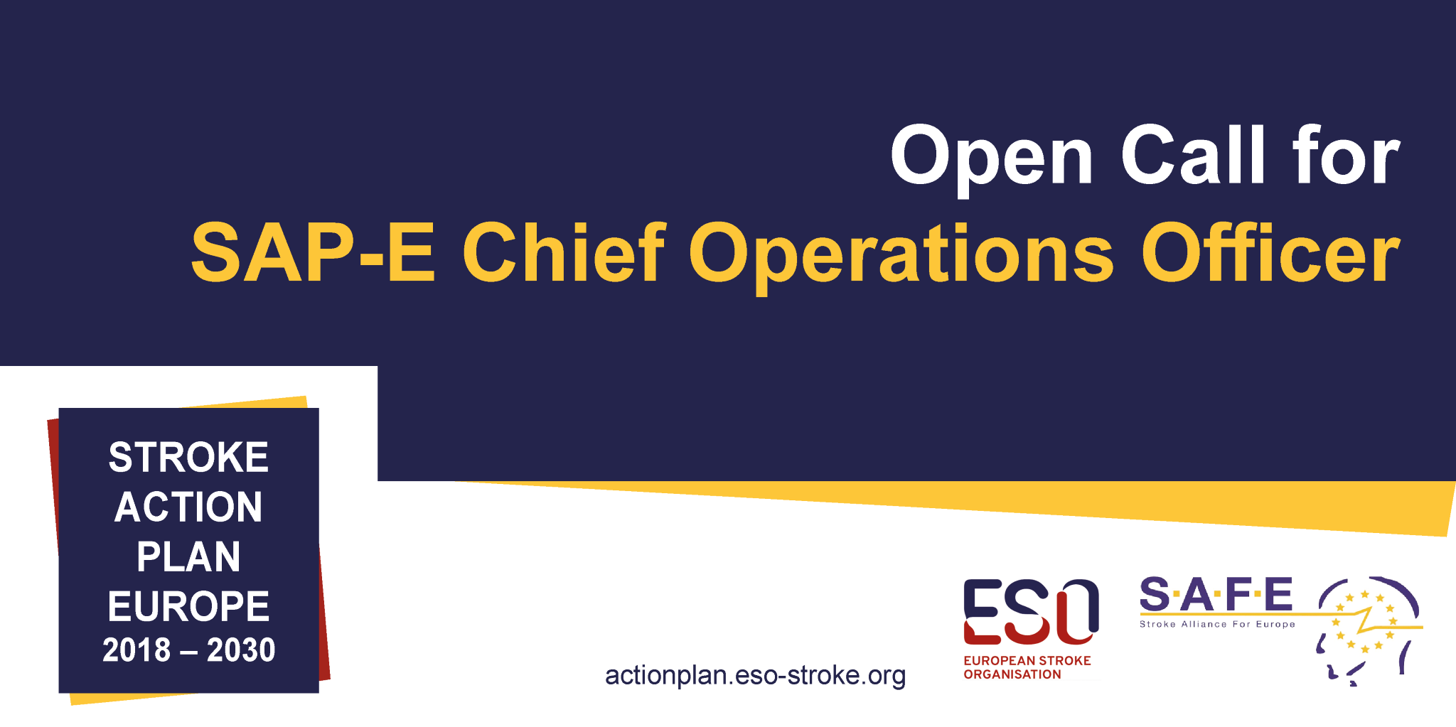 Open call for the Chief Operations Officer of the Stroke Action Plan for Europe
