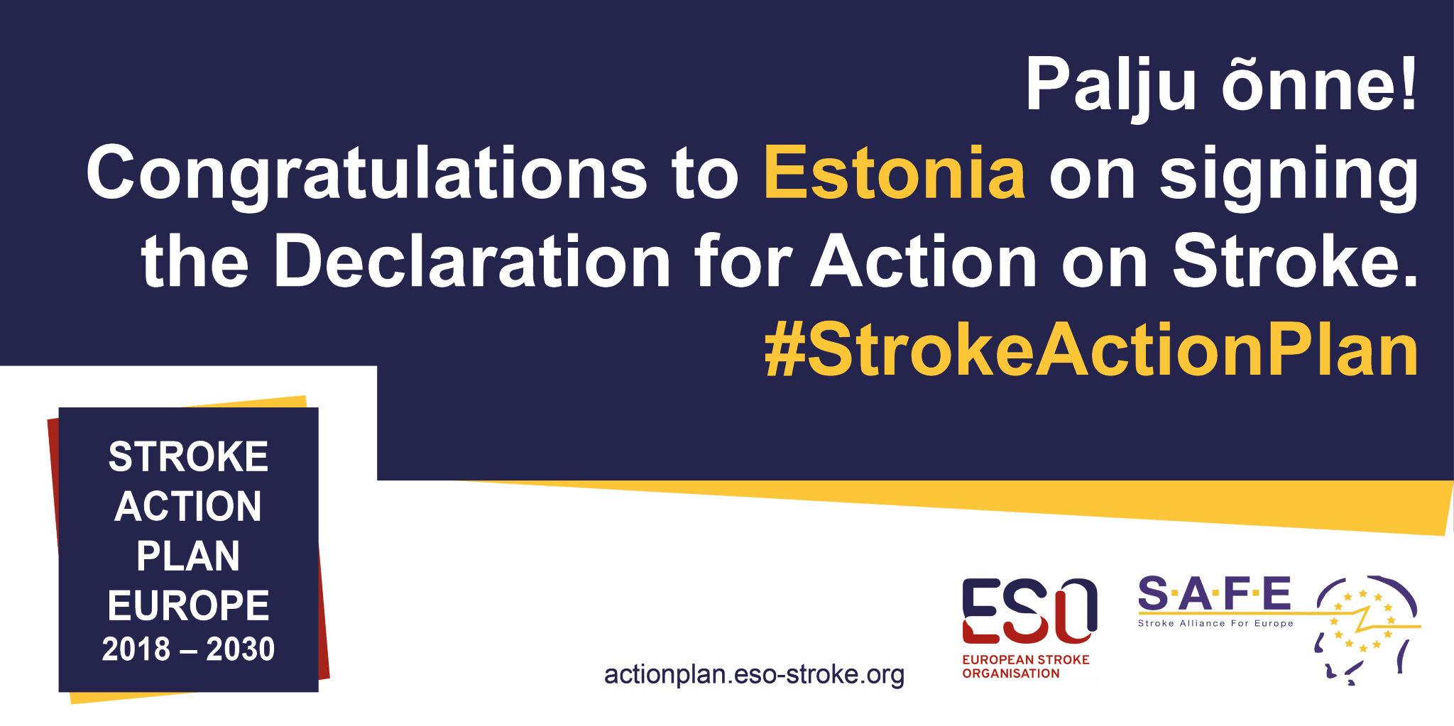 Estonia signs the Stroke Action Plan for Europe Declaration