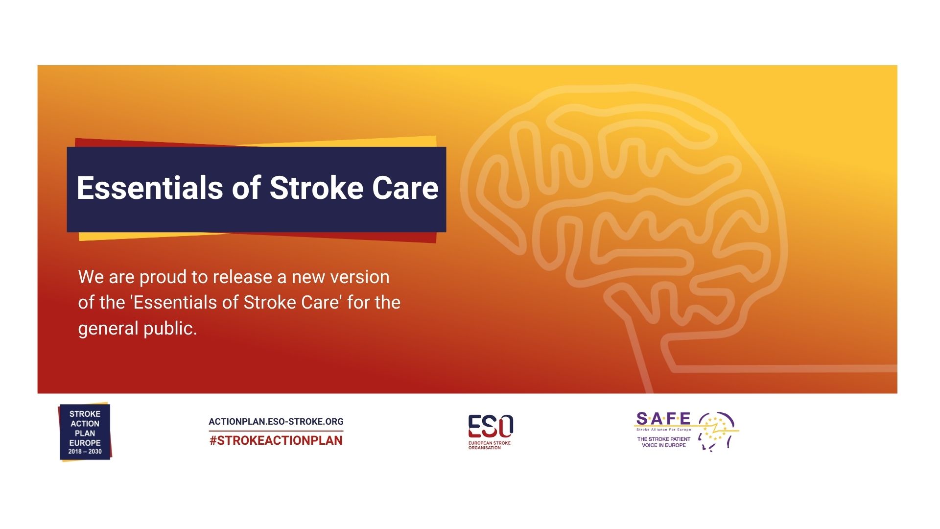 Essentials of Stroke Care guide now available for patients, stroke survivors and their families