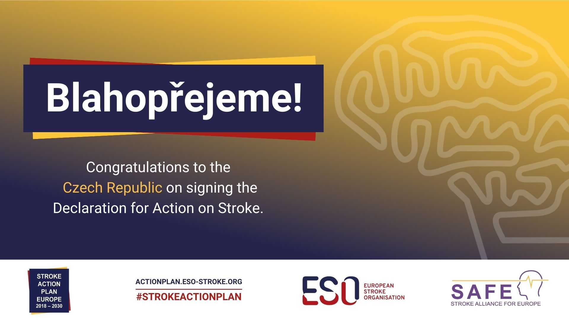 The Czech Republic signs the Stroke Action Plan for Europe declaration