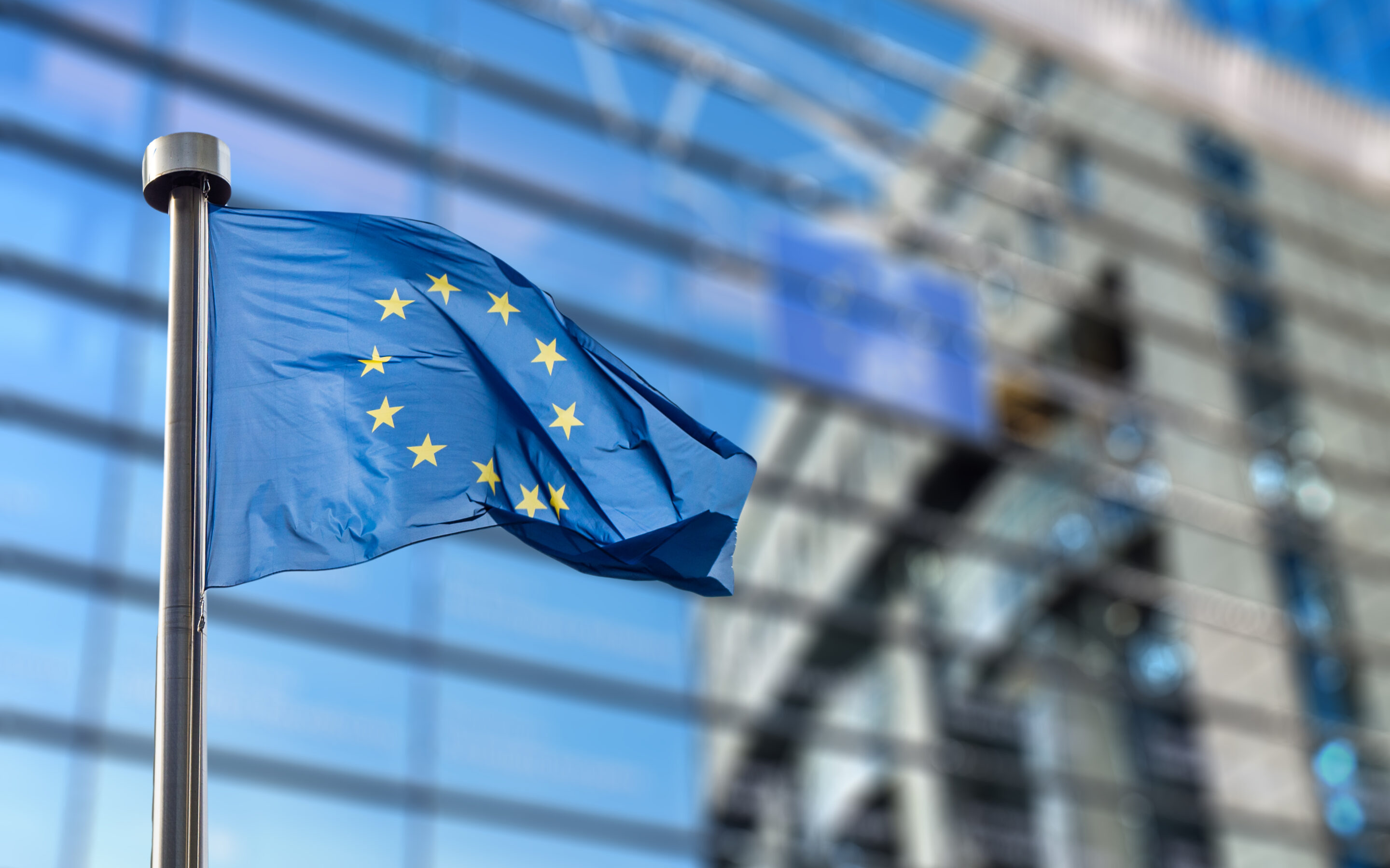 Closing the Gaps in Stroke Care: A Call to Action for Europe