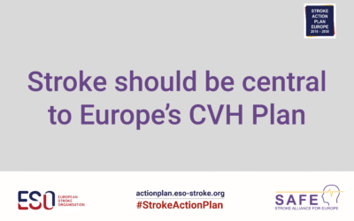 SAFE and ESO responds to the European Commission’s public consultation on the EU CVH plan