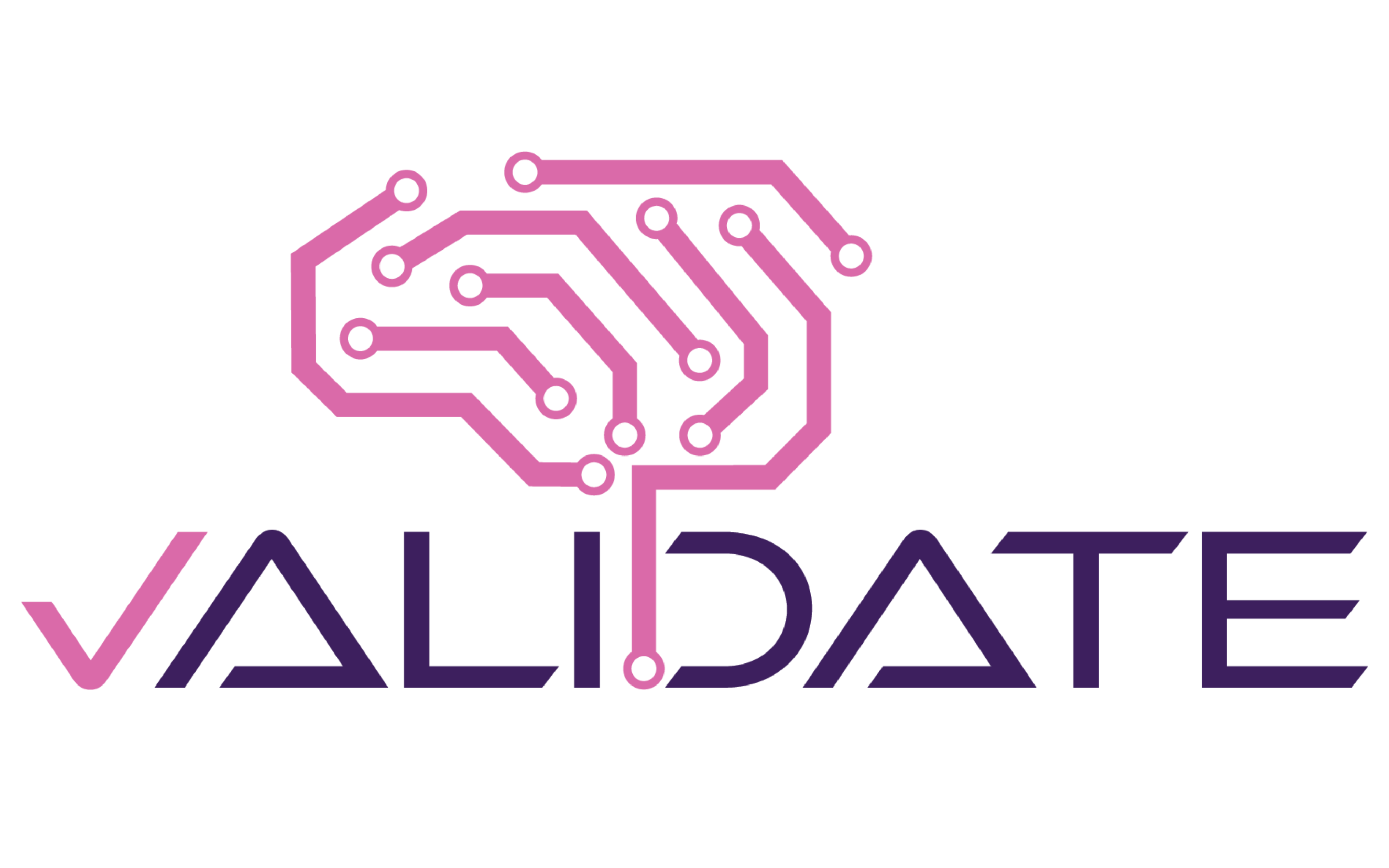 VALIDATE: Ensuring that Artificial Intelligence (AI) is safe and effective in stroke treatment
